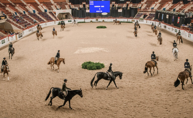 American Wood Fibers Joins Forces with Pennsylvania National Horse Show to Support 75-Year Legacy