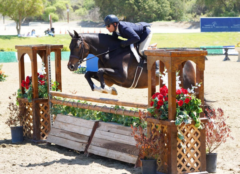 FREE Young Hunter Classes and New $25,000 Open Hunter Classic Headline Blenheim EquiSports’ 2022 Hunter Offerings