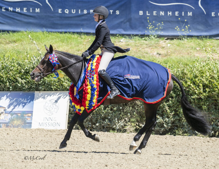 Claire Marie Diamond and Stoneledge Special Request Secure $5,000 USHJA Pony Hunter Derby Championship – West Win at Blenheim EquiSports