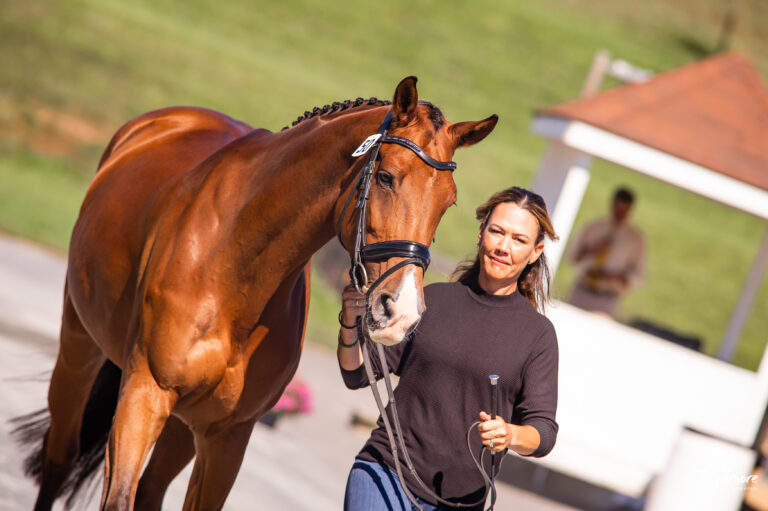 <strong>All Horses Pass Morven Park CCI4*-L Initial Horse Inspection</strong>