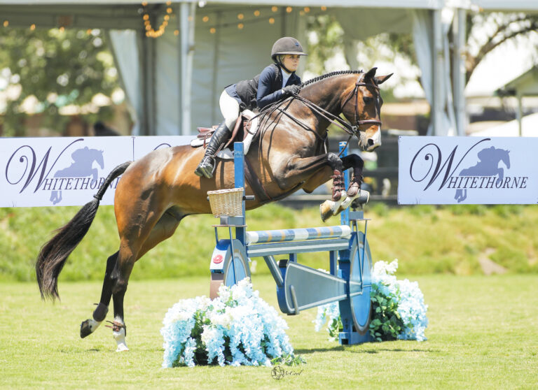 Kalea Iuliano Impresses for the Win in American Tradition of Excellence Equitation Challenge, presented by Whitethorne LLC