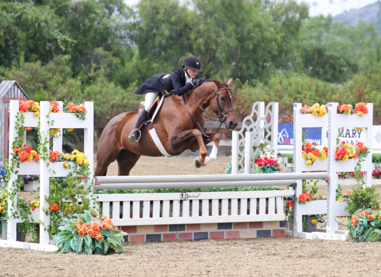 Halie Robinson and Malaiha Make Their Debut a Winning One in $10,000 Blenheim Young Hunter Championship