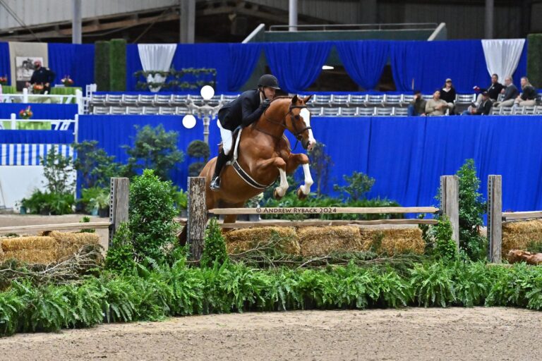 Jef Lauwers and Hallpass Conclude Pin Oak Charity Horse Show with Victory in $30,000 USHJA International Hunter Derby