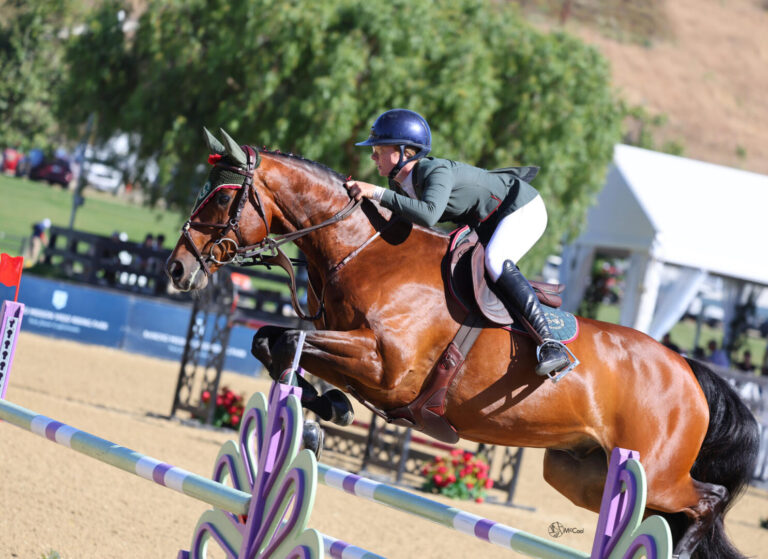 Blenheim International Jumping Festival to Host Inaugural Youth Show Jumping Foundation U25 Challenge