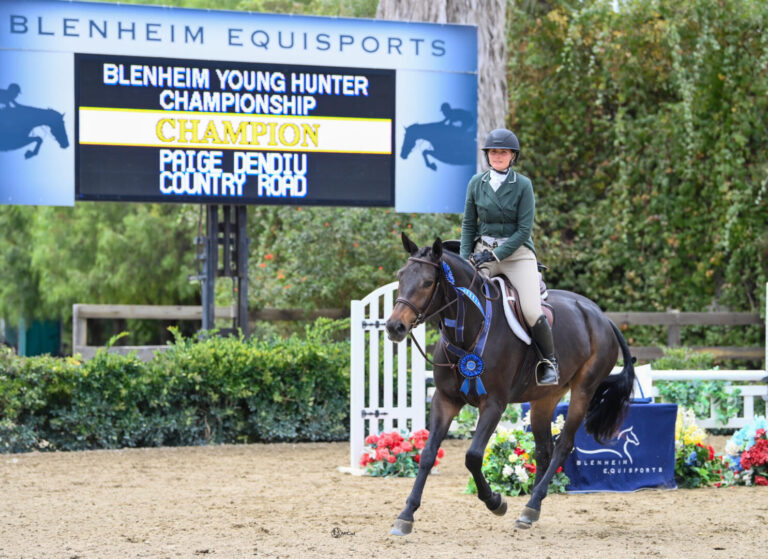 Paige Dendiu Takes Country Road to the Top in $10,000 Blenheim Young Hunter Championship