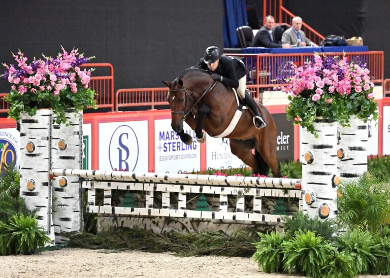 Nick Haness Headlines Professional Hunter Competition at Pennsylvania National Horse Show