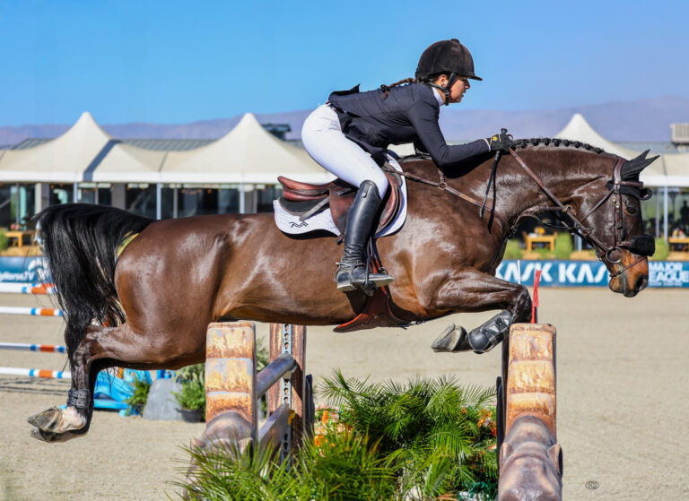 Megan McDermott and Nintendo Bring Their A-Game to $15,000 FarmVet 1.45m Open Classic