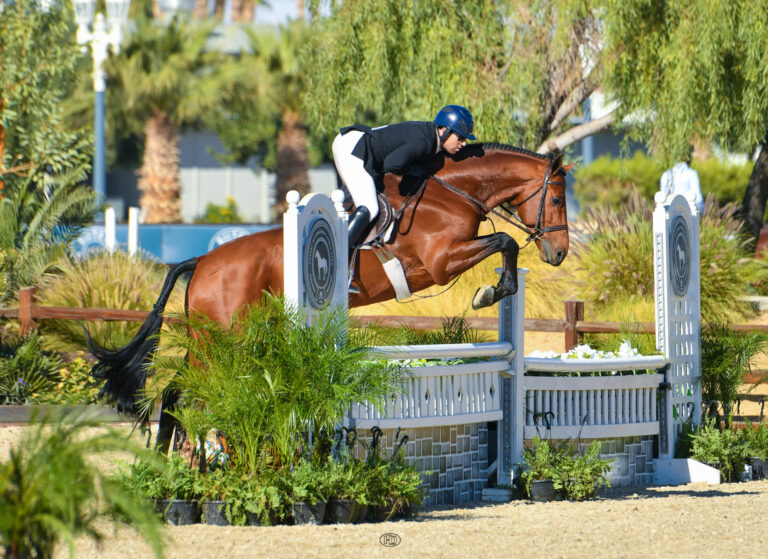 Nick Haness and Navarino are Number One in $5,000 USHJA National Hunter Derby – Open at Desert Circuit 1