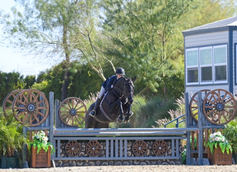 Karin Binz and Vatikan are Victorious in $2,500 3’3” Amateur-Owner Hunter Classic