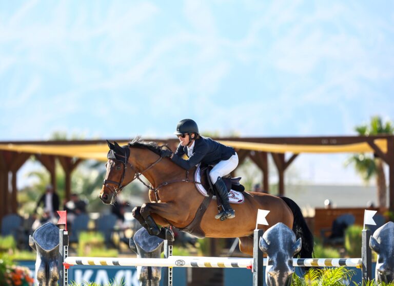 Shawn Casady and Cool Quarz Claim Victory in $32,000 CSI5* MLSJ BRAINJAVA Welcome Speed at Desert Holiday 2