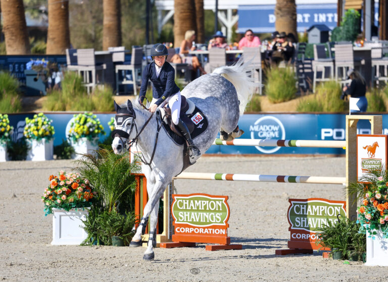 Ali Ramsay and Diamond Shine in $32,000 CSI2* Champion Shavings 1.45m Speed