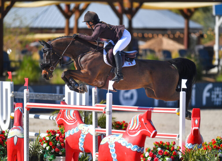 Megan McDermott and Nintendo go to Next Level in $32,000 BRAINJUICE CSI3* 1.50m Speed