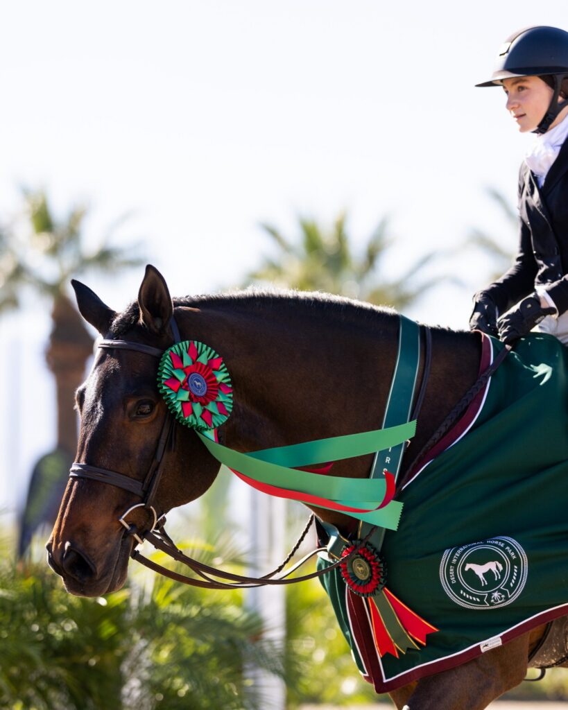 Even the ribbons are festive at Desert Holiday! Photo by Megan Giese Media/DIHP