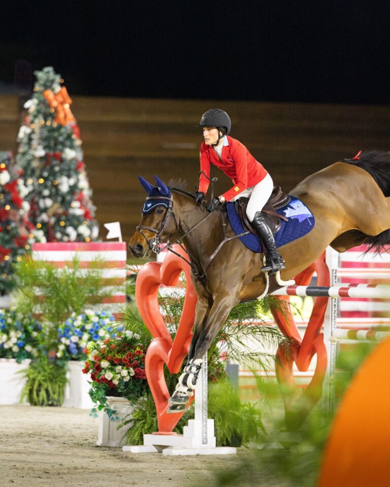 Sunshine, Show Jumping & Holiday Cheer Await at Desert Holiday 🎄