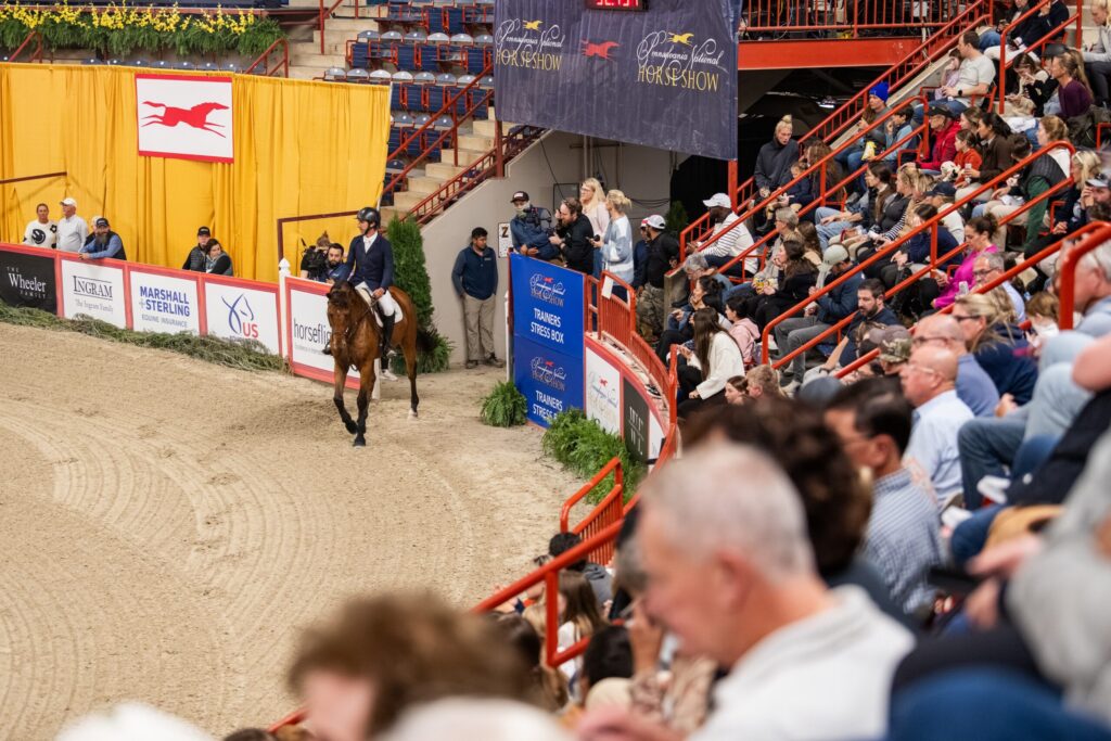 Want to get up close to all the action? Reserve your seat today! Photo by Brittany Rapciak Photography