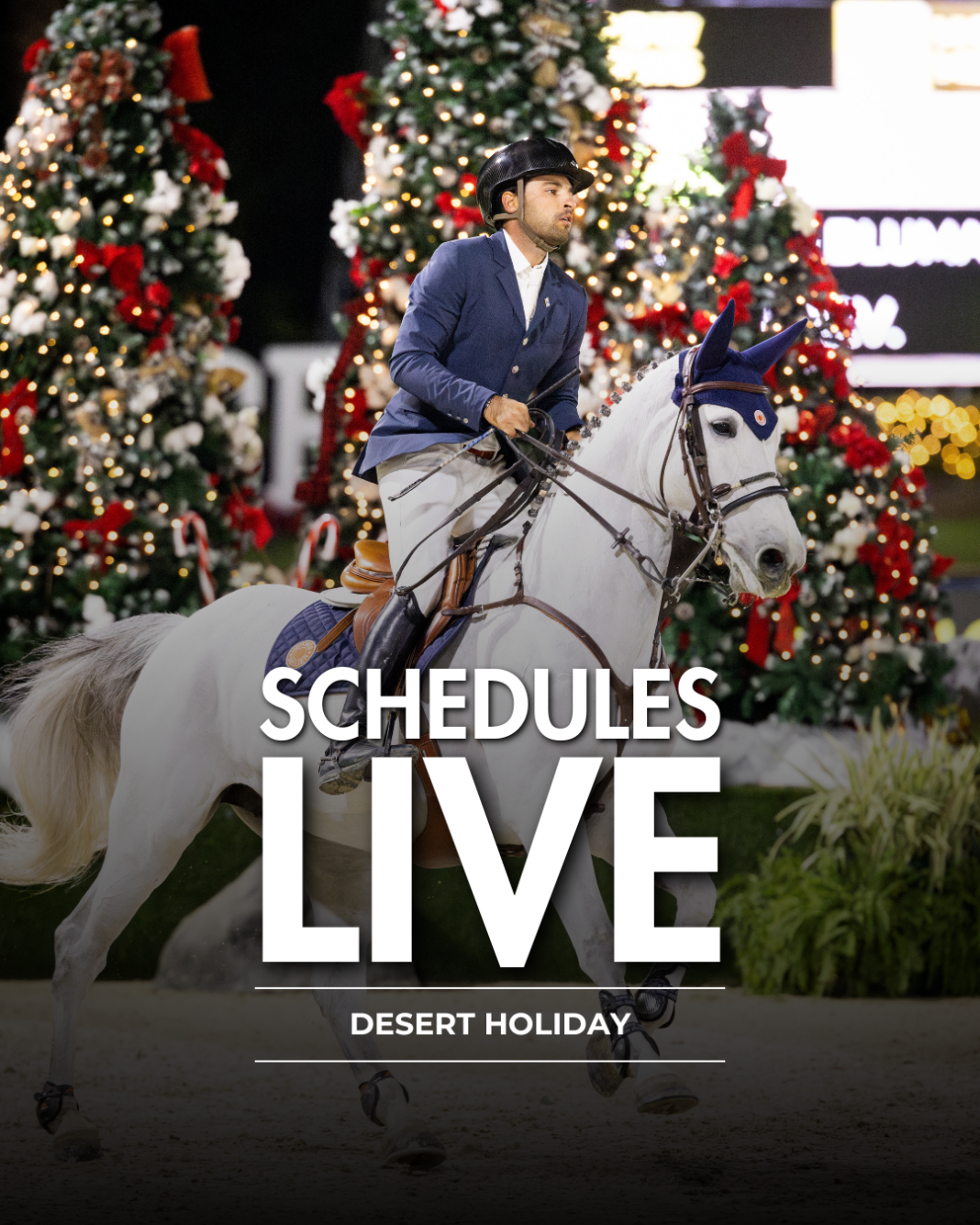 Desert Holiday Schedules Now Available