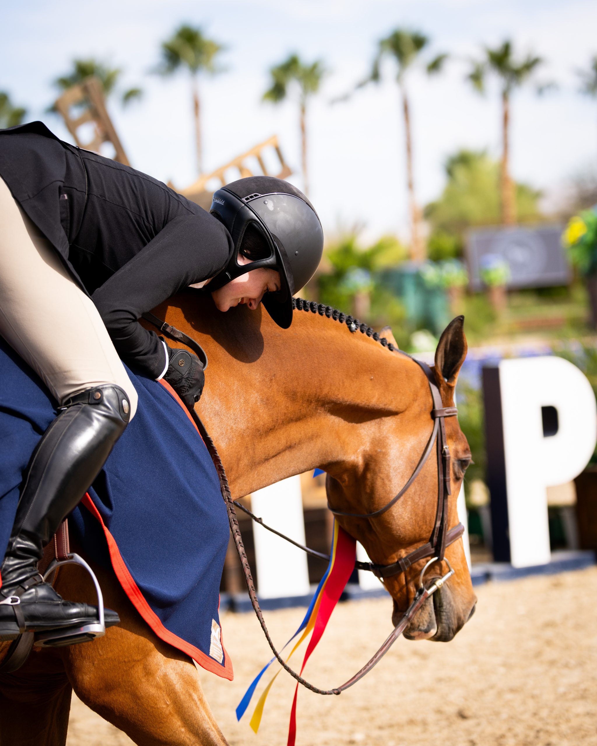 Join the Best Amateur Hunters in the West for the USHJA Amateur Hunter Championships