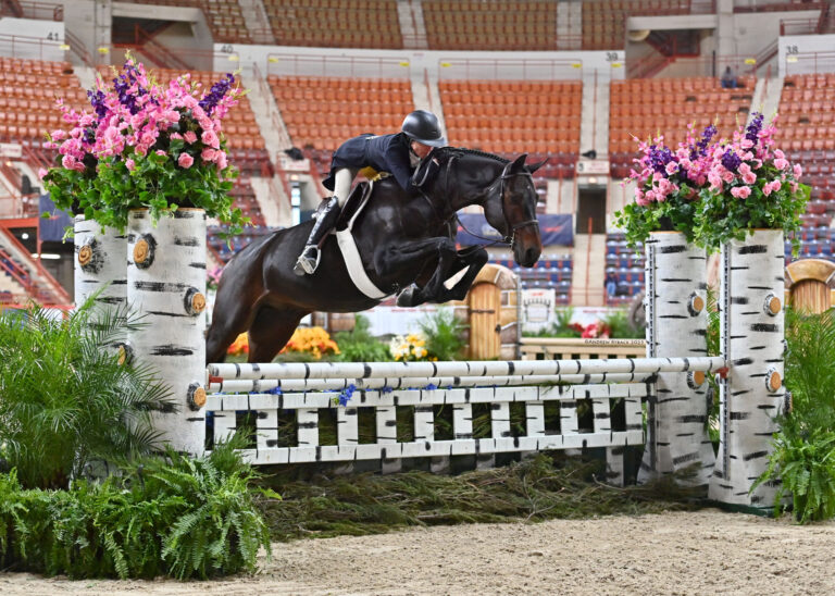 BIG NEWS for Hunters! Trainer Bonuses DOUBLED and $100K More in Prize Money at PNHS 2026