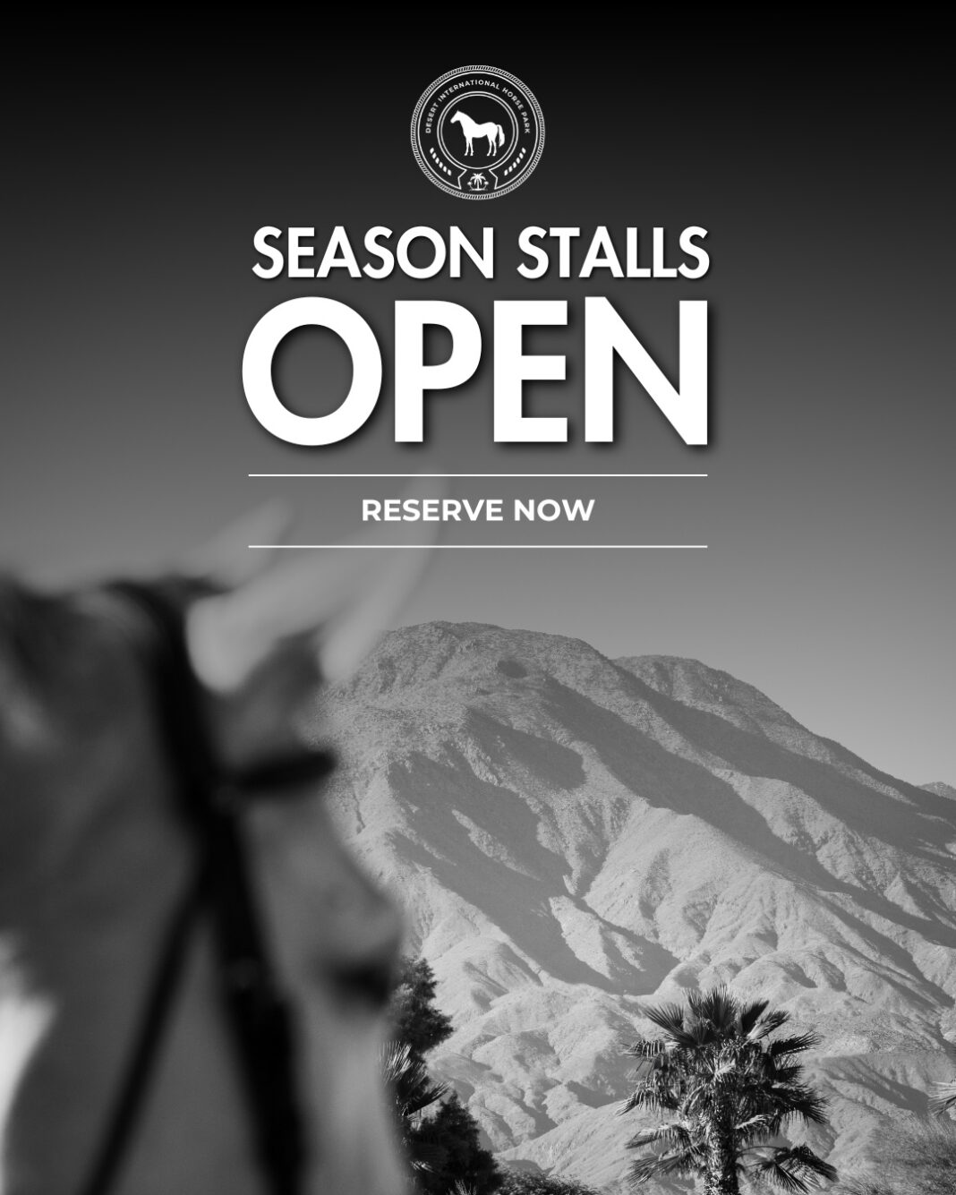 Reserve Your DIHP Season Stalls and RV Spaces Today! Reserve Your DIHP Season Stalls and RV Spaces Today!