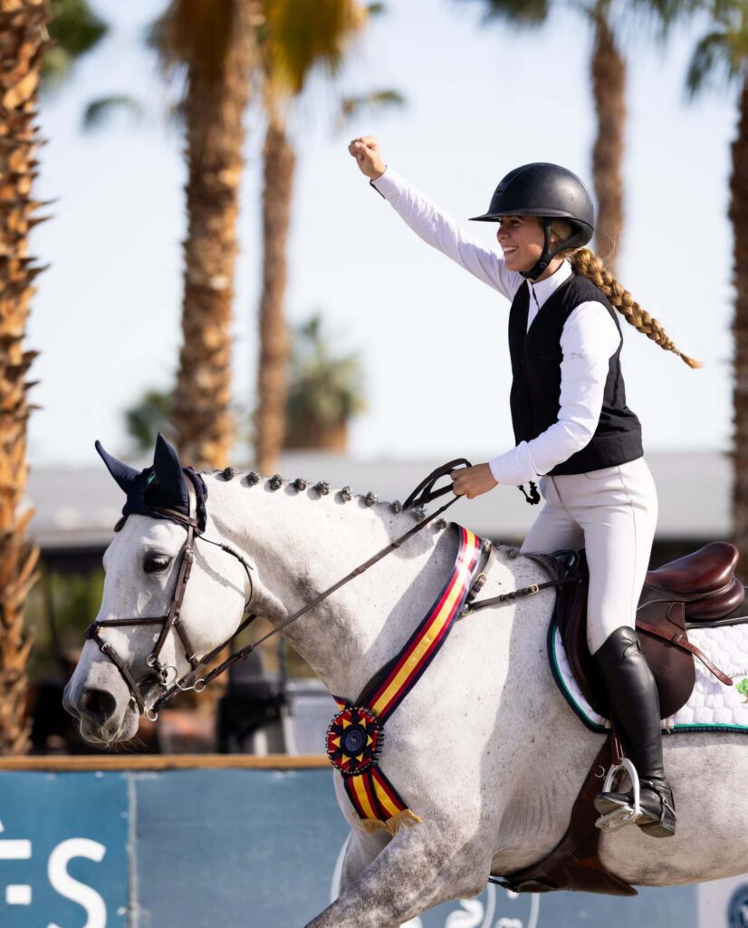 An NAL Finale in the Desert